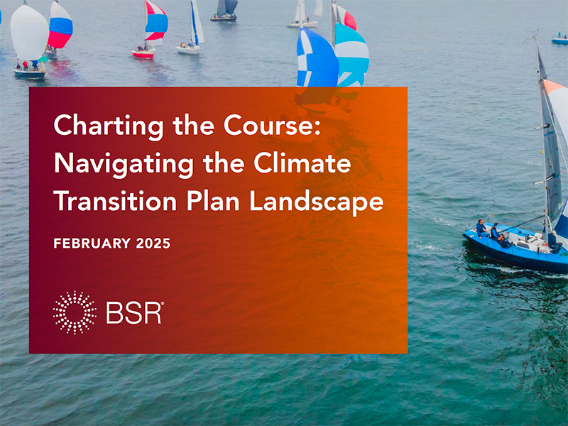 Charting the Course: Navigating the Climate Transition Plan Landscape cover image