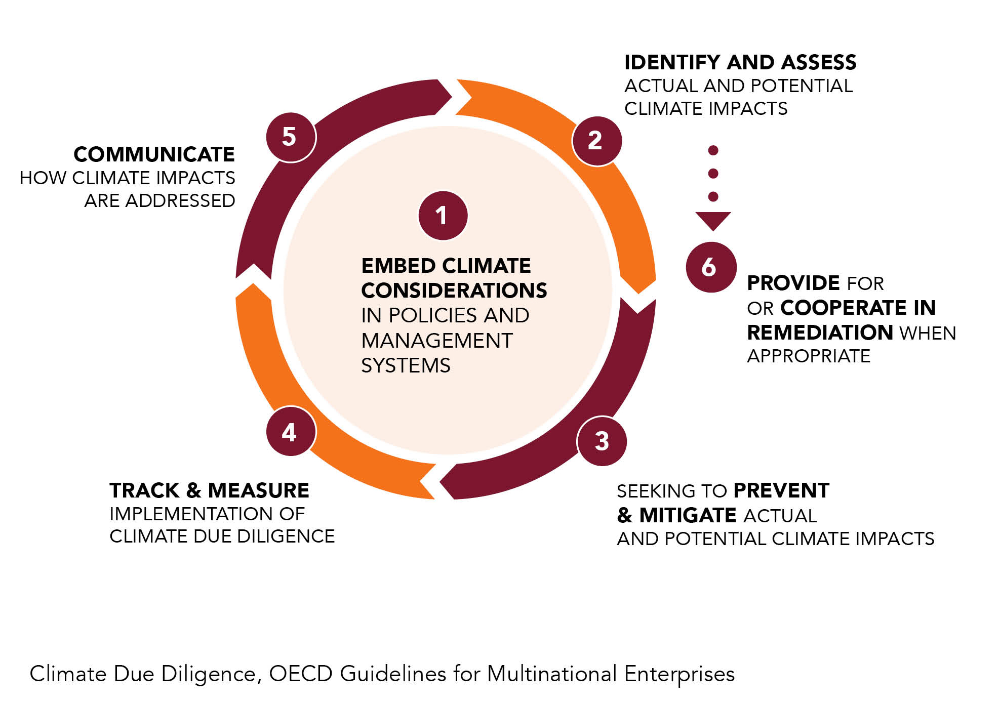 CSDDD climate due diligence