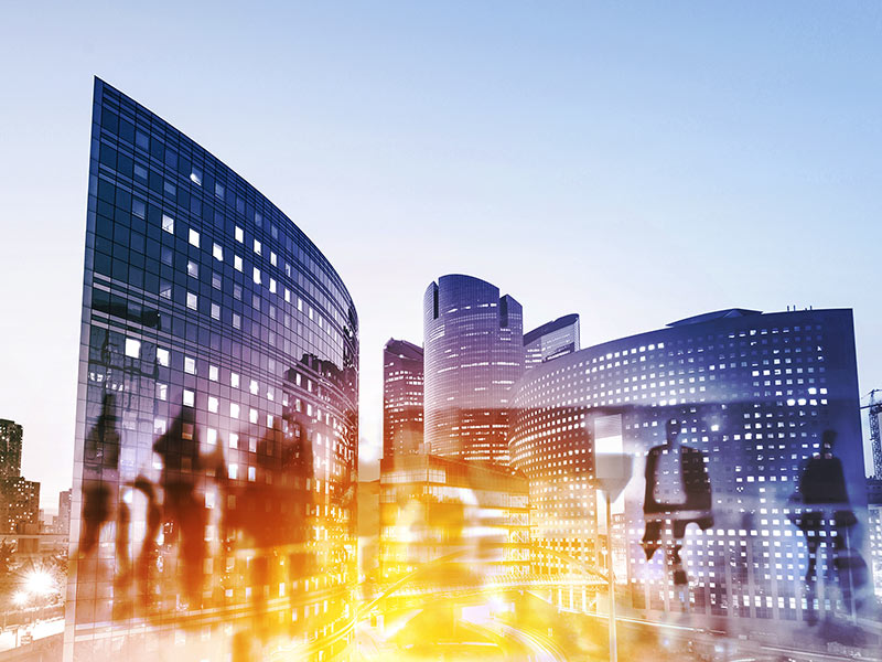 The CSO at a Crossroads: Three Paths Forward for Sustainability Leaders thumnail image
